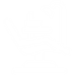Dentist Chair 1
